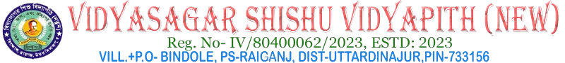 VIDYASAGAR SHISHU VIDYAPITH (NEW)